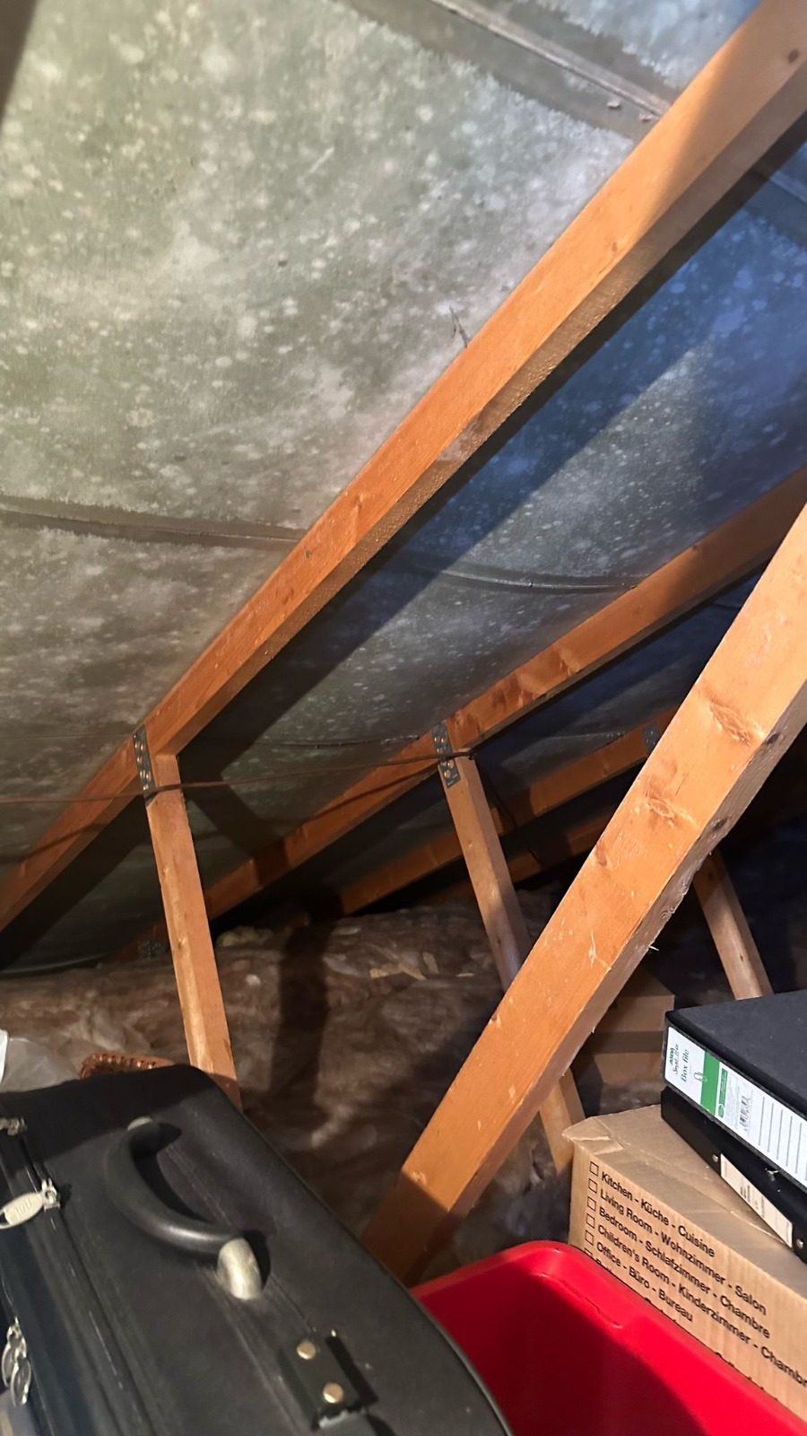 Uninsulated loft space with exposed joists