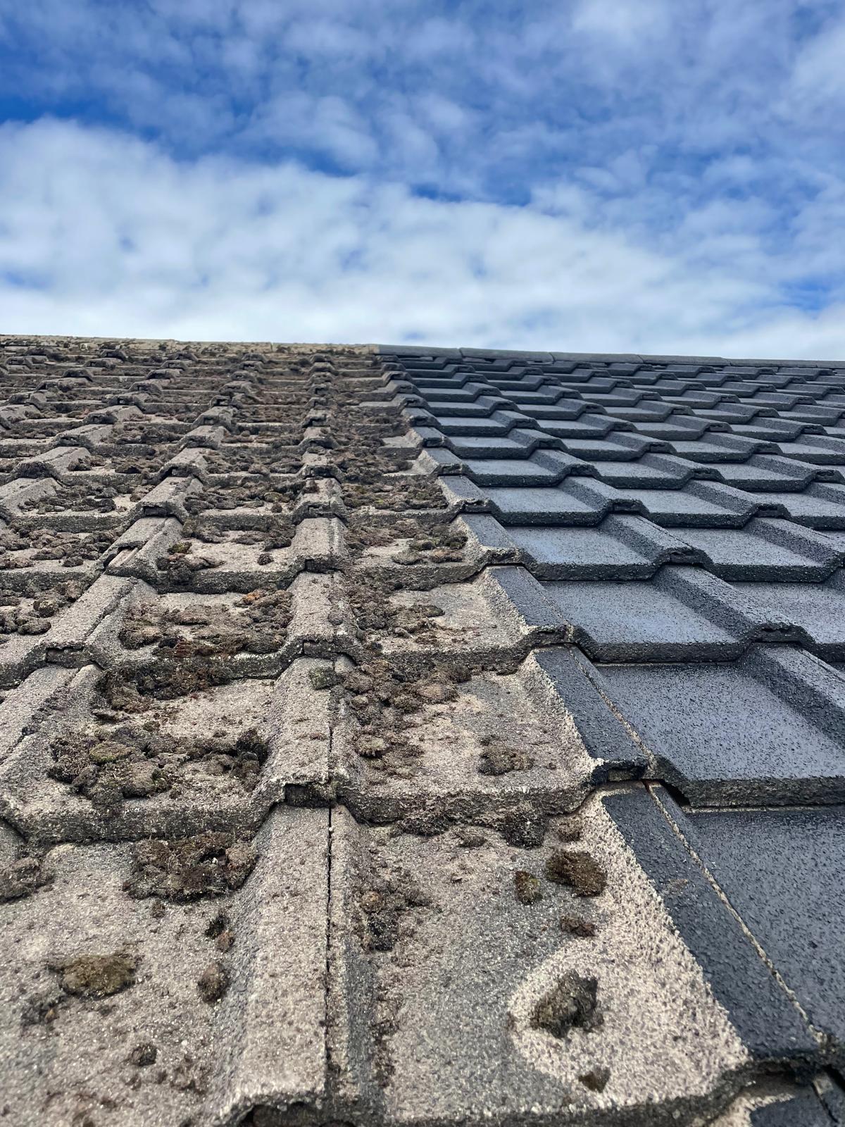 Real customer roof transformation project showing dramatic results - Easy-Sprayaway Scotland