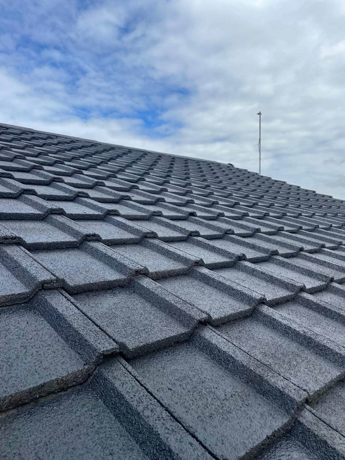 Professional roof cleaning and coating services in Scotland